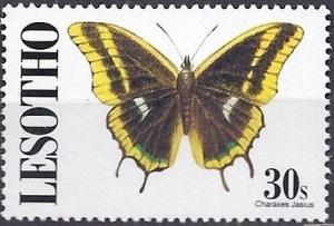 Colnect-2249-584-Two-tailed-Pasha-Charaxes-jasius.jpg