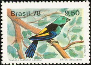 Colnect-2265-212-Seven-coloured-Tanager-Tangara-fastuosa-.jpg