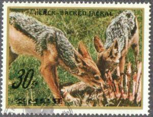 Colnect-2666-456-Black-backed-Jackal-Canis-mesomelas.jpg