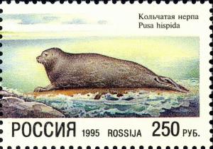 Colnect-2819-769-Ringed-Seal-Pusa-hispida.jpg