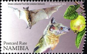 Colnect-3063-939-Straw-coloured-Fruit-Bat-Eidolon-helvum.jpg