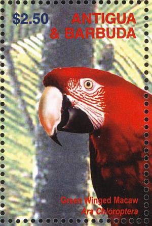 Colnect-3397-635-Green-winged-Macaw-Ara-chloropterus.jpg