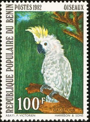 Colnect-3750-467-Sulphur-crested-Cockatoo-Kakatoe-galerita.jpg