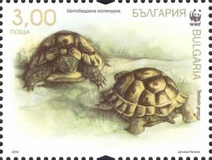 Colnect-3848-590-Spur-thighed-Tortoise-Testudo-graeca.jpg