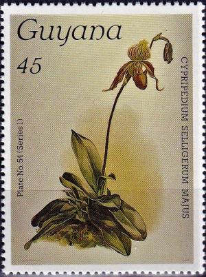 Colnect-3992-721-Cypripedium-selligerum-majus.jpg