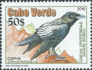 Colnect-4096-429-Brown-necked-Raven-Corvus-ruficollis.jpg