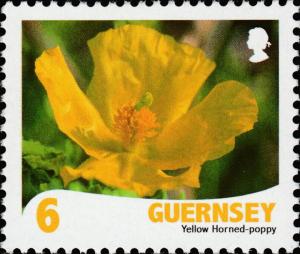 Colnect-4151-883-Yellow-horned-Poppy---Glaucium-flavum-.jpg