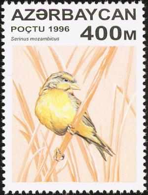 Colnect-5250-667-Yellow-fronted-Canary-Serinus-mozambicus.jpg