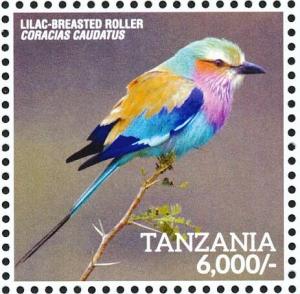 Colnect-5935-614-Lilac-breasted-Roller-Coracias-caudatus.jpg