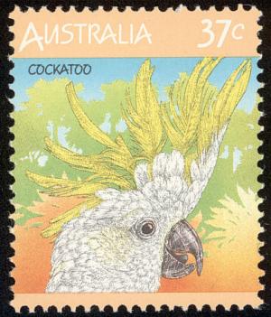 Colnect-604-106-Sulphur-crested-Cockatoo-Cacatua-galerita.jpg