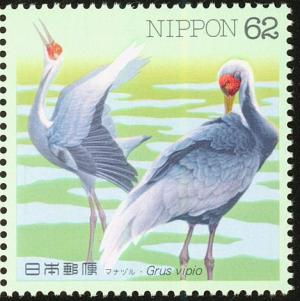 Colnect-608-823-White-naped-Crane-Antigone-vipio.jpg