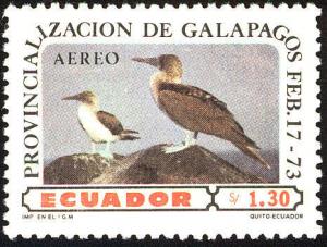 Colnect-734-533-Blue-footed-Booby-Sula-nebouxii-.jpg