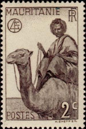 Colnect-803-005-Man-on-Dromedary-Camelus-dromedarius.jpg