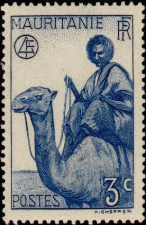 Colnect-803-006-Man-on-Dromedary-Camelus-dromedarius.jpg