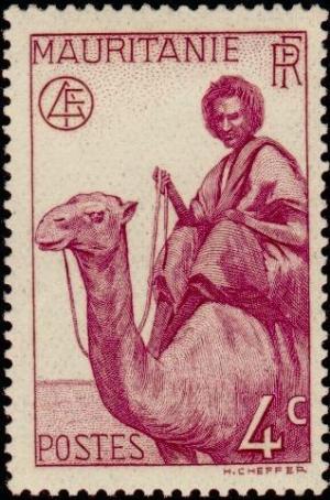 Colnect-803-007-Man-on-Dromedary-Camelus-dromedarius.jpg