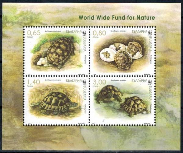 Colnect-3830-998-Spur-thighed-Tortoise-Testudo-graeca.jpg