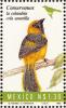 Colnect-1490-698-Yellow-tailed-Oriole-Icterus-mesomelas.jpg