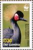 Colnect-1721-787-Black-Crowned-Crane-Balearica-pavonina.jpg