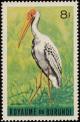 Colnect-1156-600-Yellow-billed-Stork-nbsp-Mycteria-ibis.jpg