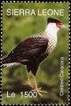 Colnect-1618-009-Northern-Crested-Caracara-Caracara-cheriway.jpg