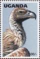 Colnect-1712-461-White-backed-Vulture%C2%A0Gyps-africanus.jpg