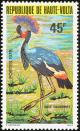 Colnect-1750-139-Black-Crowned-Crane-Balearica-pavonina.jpg