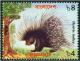 Colnect-1917-846-Indian-Crested-Porcupine-Hystrix-indica.jpg