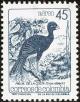 Colnect-2806-645-Blue-billed-Curassow-Crax-alberti.jpg