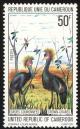 Colnect-2834-992-Black-Crowned-Crane-Balearica-pavonina.jpg