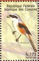 Colnect-3669-520-Long-tailed-Shrike%C2%A0Lanius-schach.jpg