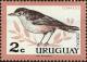 Colnect-4093-122-Rufous-bellied-Thrush-Turdus-rufiventris.jpg