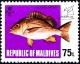 Colnect-4129-451-Humpback-Red-Snapper-Lutjanus-gibbus.jpg