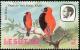 Colnect-745-181-Southern-Red-Bishop-Euplectes-orix-.jpg