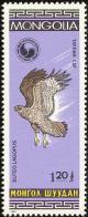 Colnect-859-489-Rough-legged-Buzzard-Buteo-lagopus.jpg