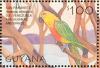 Colnect-1664-619-Sun-Parakeet-Aratinga-solstitialis.jpg