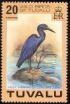 Colnect-1767-941-Pacific-Reef-Heron%C2%A0Egretta-sacra.jpg