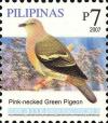 Colnect-2876-079-Pink-necked-Green-Pigeon-nbsp-Treron-vernans.jpg