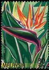 Colnect-4145-586-Stamp-Week--Strelitzia-reginae.jpg