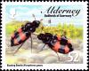 Colnect-5486-743-Burying-Beetles-Nicrophorus-genus-.jpg