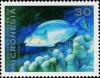 Colnect-5576-545-Bleeker-s-parrotfish.jpg