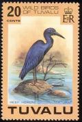 Colnect-1767-941-Pacific-Reef-Heron%C2%A0Egretta-sacra.jpg