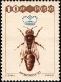 Colnect-1966-074-Queen-Apis-mellifera.jpg