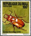 Colnect-2593-179-Stag-Beetle-Homoderus-mellyi.jpg