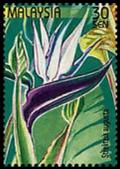 Colnect-4145-581-Stamp-Week--Strelitzia-augusta.jpg