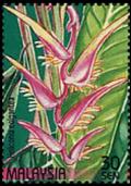 Colnect-4145-587-Stamp-Week--Heliconia-colganta.jpg