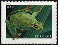 Colnect-6154-878-Pacific-Tree-Frog-Pseudacris-regilla.jpg