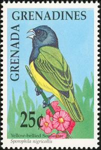 Colnect-2193-356-Yellow-bellied-Seedeater-Sporophila-nigricollis.jpg