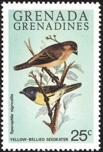 Colnect-1838-423-Yellow-bellied-Seedeater-Sporophila-nigricollis.jpg