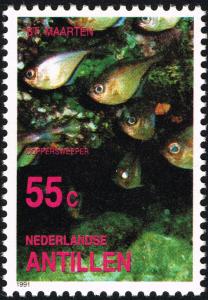 Colnect-2206-464-Silver-Sweeper-Pempheris-oualensis.jpg