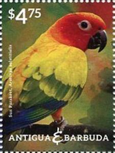 Colnect-2453-350-Sun-Parakeet-Aratinga-solstitialis.jpg